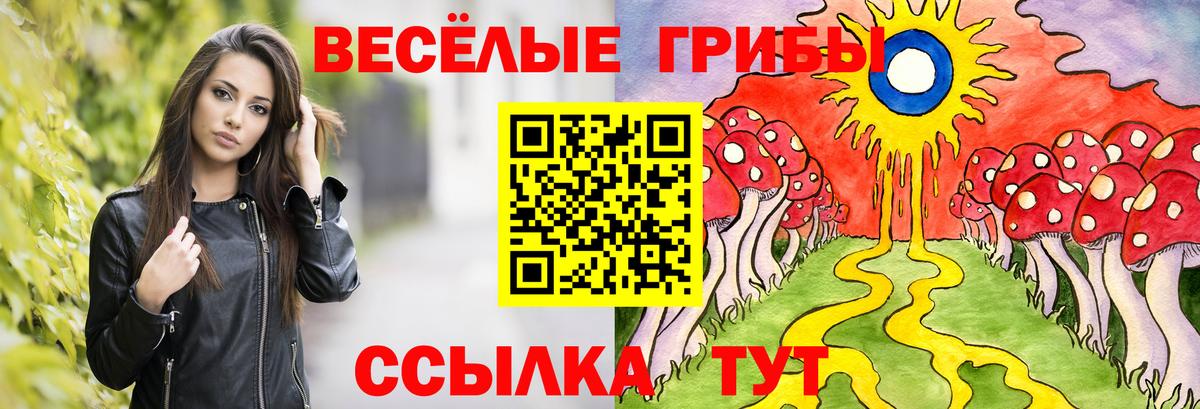 Псилоцибиновые грибы Magic Shrooms  Вход с VPN  Пенза 
